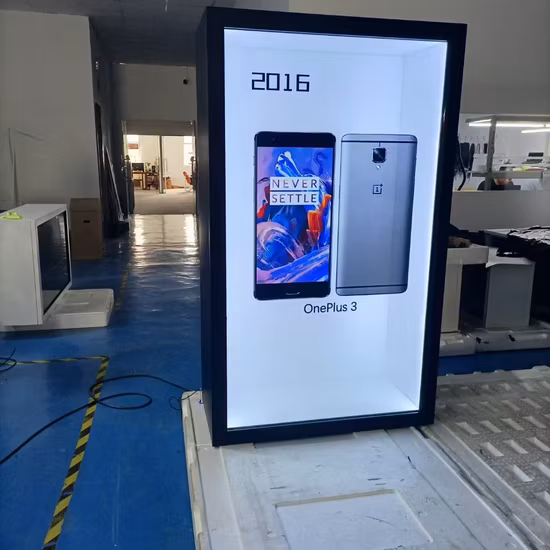 Holographic Display