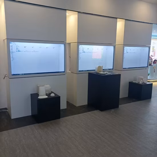 Holographic Display